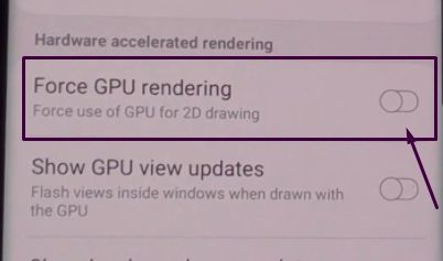 Force GPU Rendering Option image