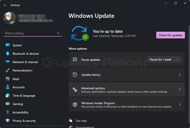 Update Windows 11 Option